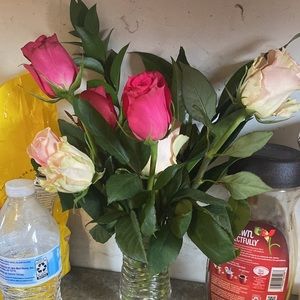 Meet your Posher, Faby